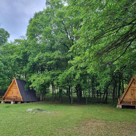 Wolf & Sheep Nature & Adventure 波德戈里察 外观 照片